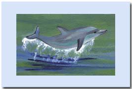 a dolphin catching qir