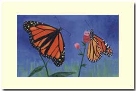 two monarch butterflies 