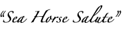 sea horse salute title of a greeting card (handmade)