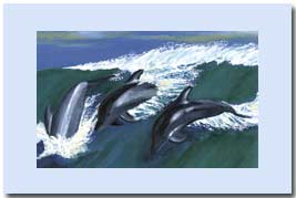 three dolphins playing in the waves