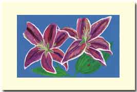 starlily flower