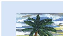 baja dreaming handmade greeting  card