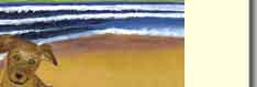 dog at beach handmade greeting card