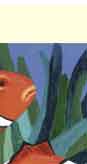 anemone fish greeting card