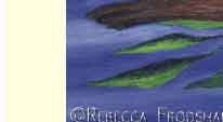 otter in ocean greeting card