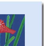 underwater handmade greeting card