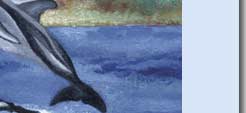 dolphin in ocean handmade greeting card