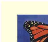 monarch butterfly art card