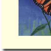 butterfly handmade greeting card featuring monarchs