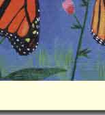 monarch butterfly on thistle in handmade greeting card