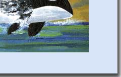 whale in ocean greeting card