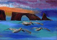 island flight (pelican) art print