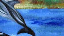 dolphin in ocean art print