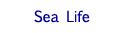 sea life card